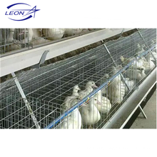 Leon series layer cage for meat duck